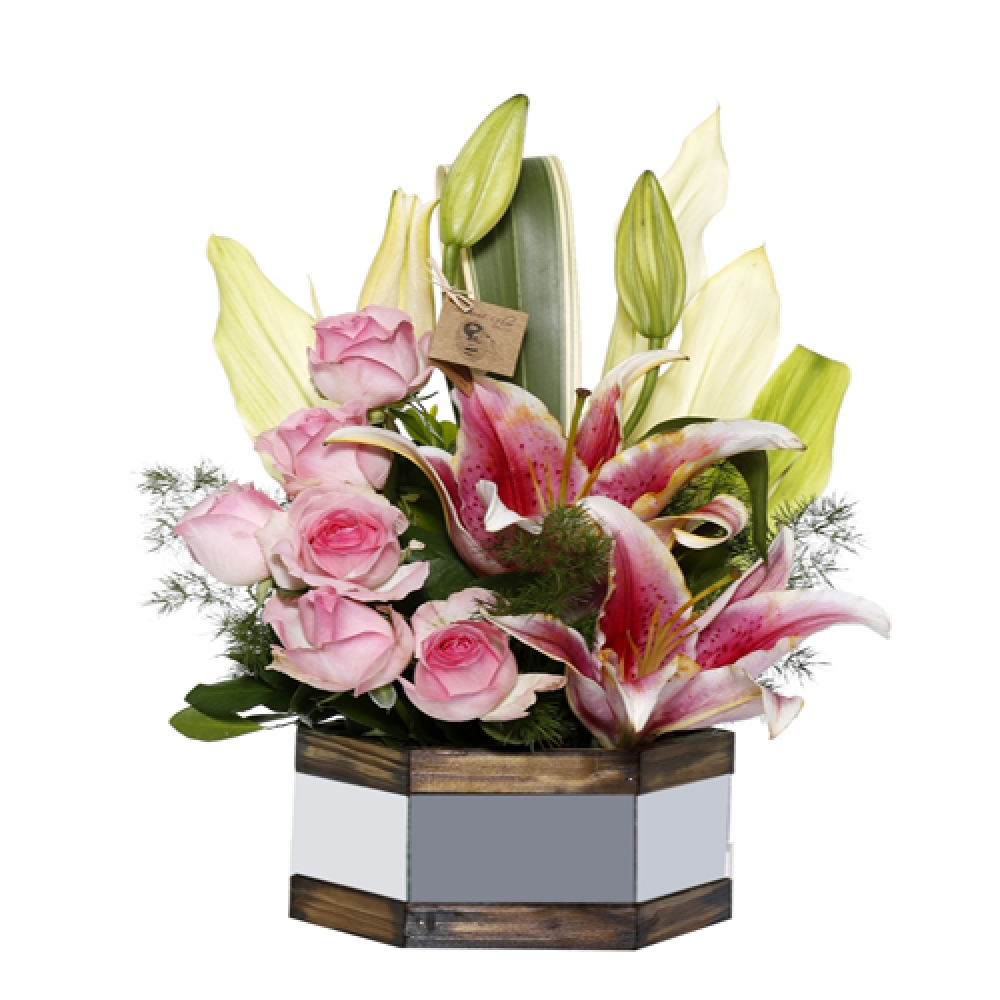 Reflexo de flores
