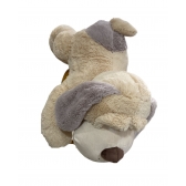 Cachorro Bege
