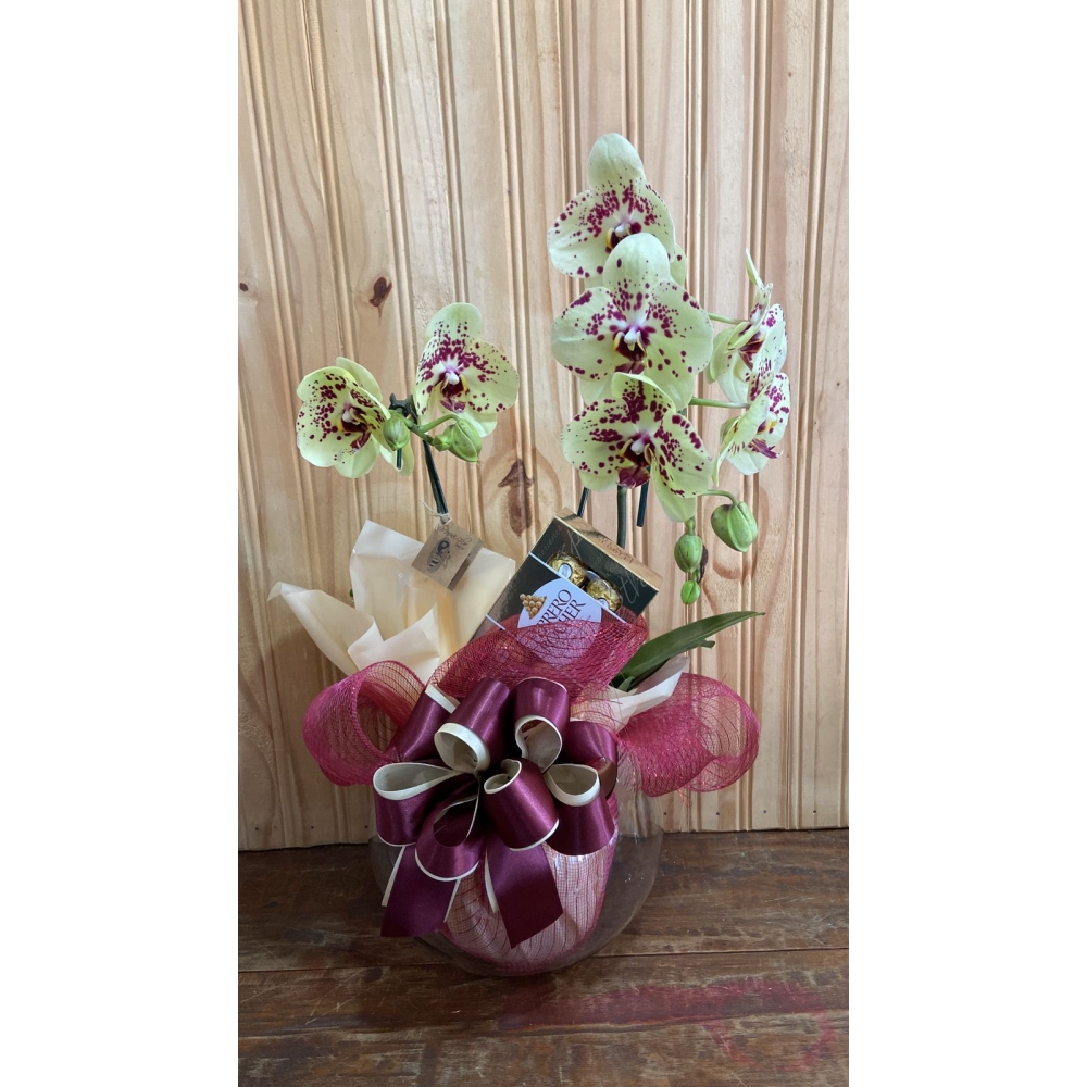 Orquídea no aquário