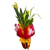 Callas