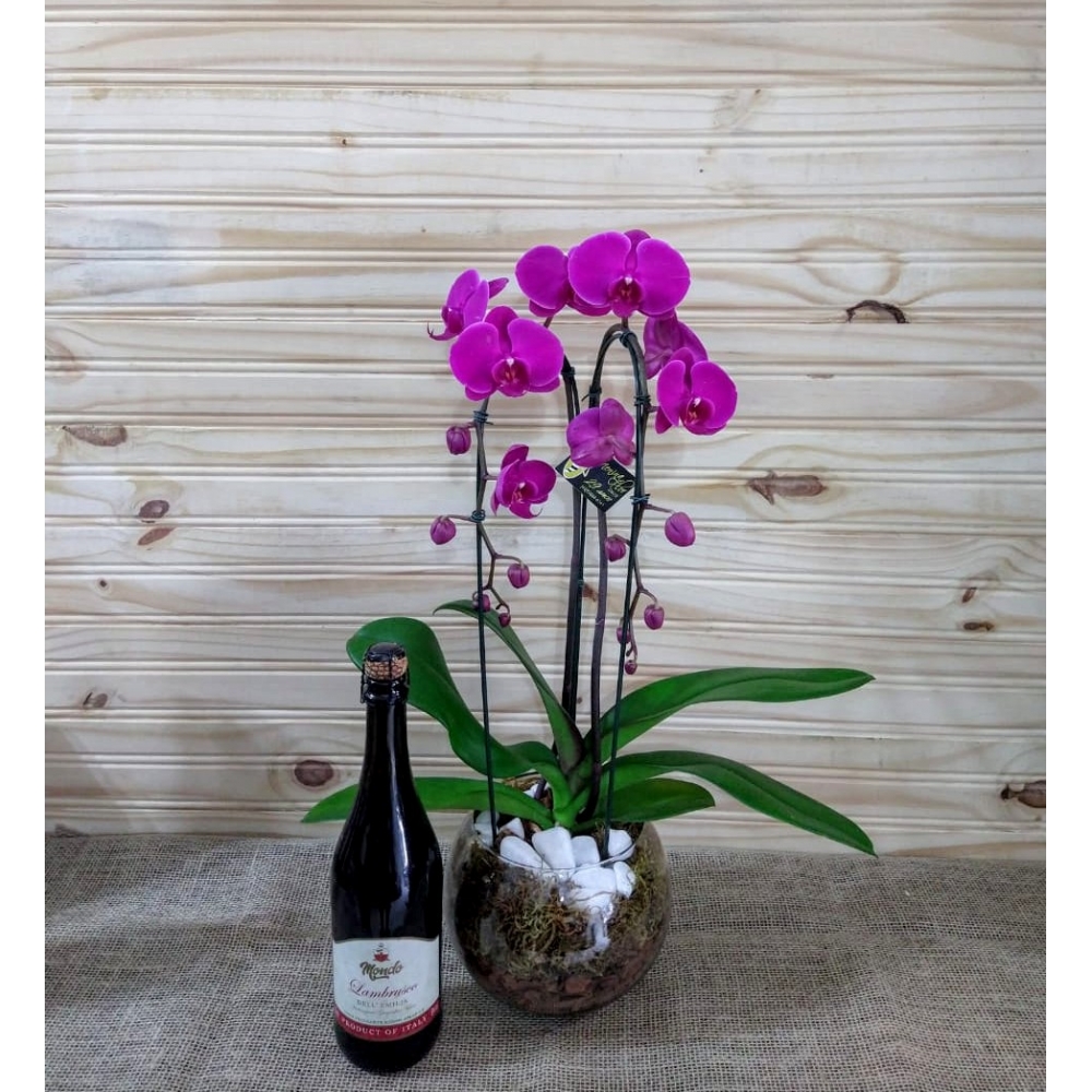 ORQUÍDEA CASCATINHA NO AQUÁRIO COM VINHO FRIZZANTE