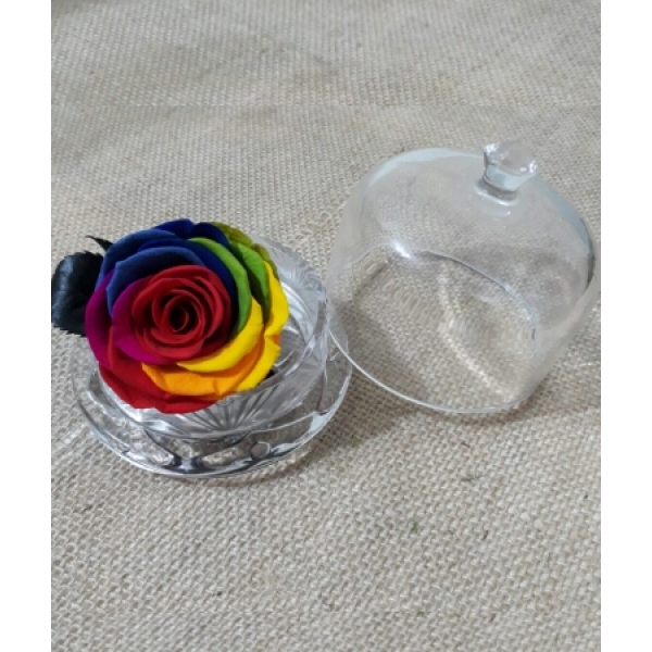 ROSA ENCANTADA MULTICOLOR