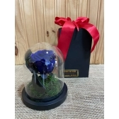 Rosa Preservada Azul
