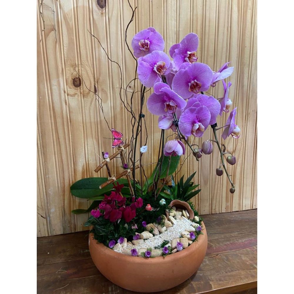 Jardim de orquídea