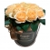 FLOWER BOX