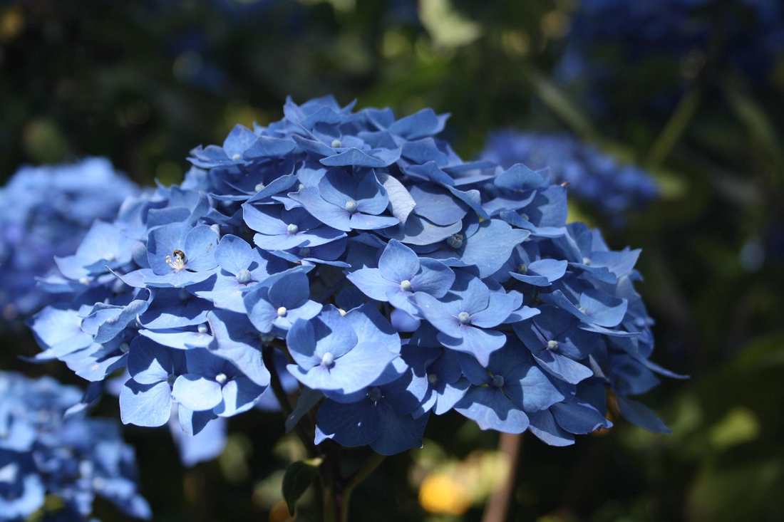 Floricultura Menina Flor