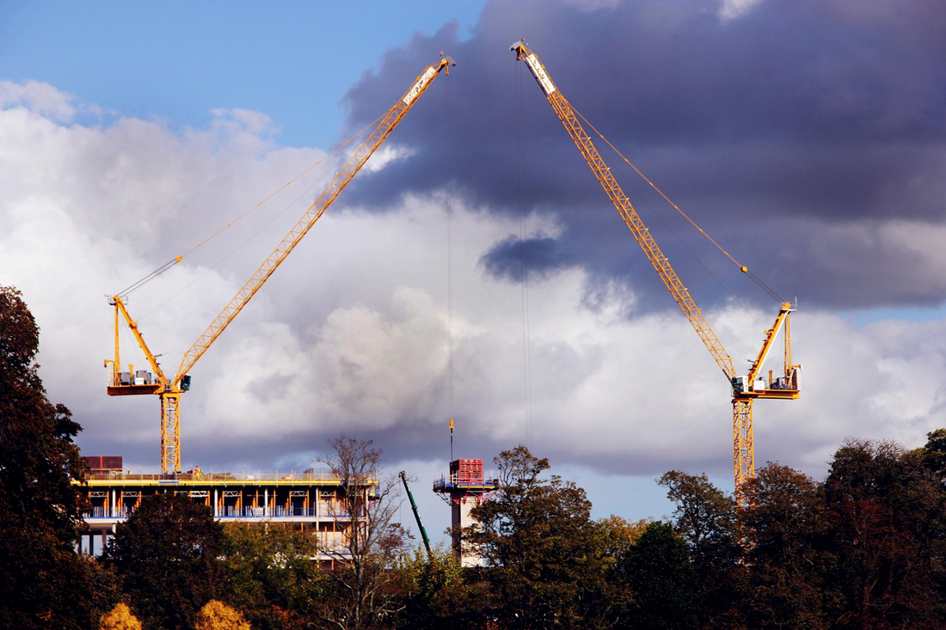 Coração carinhoso
