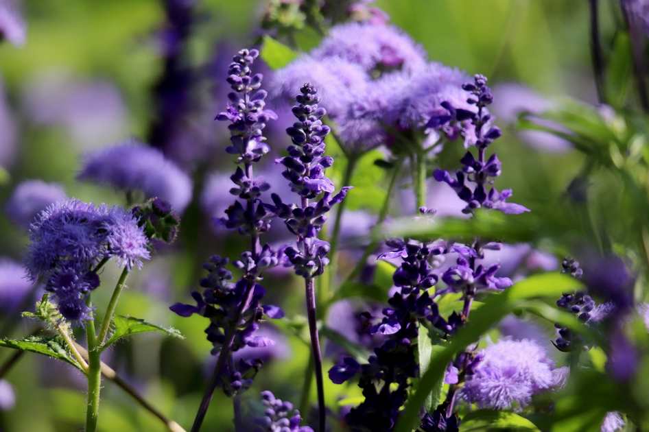 Floricultura Menina Flor