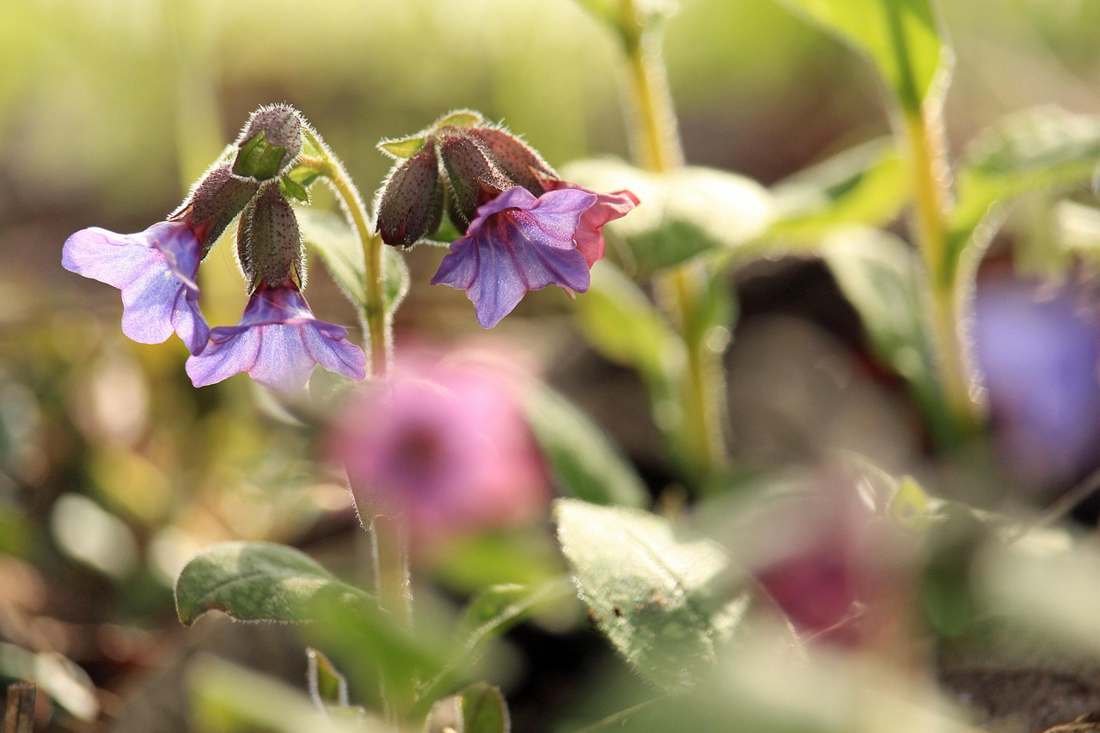 Floricultura Menina Flor